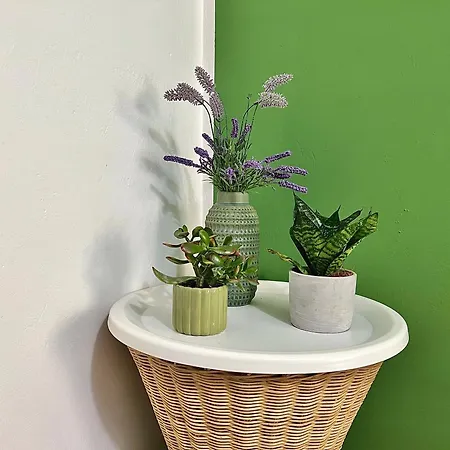 Efebo Aeterna - With Garden View 阿格里真托